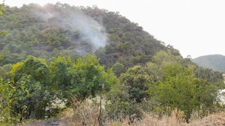 Amasya-Tokat sınırında çıkan örtü yangınında 2 dekarlık alan zarar gördü