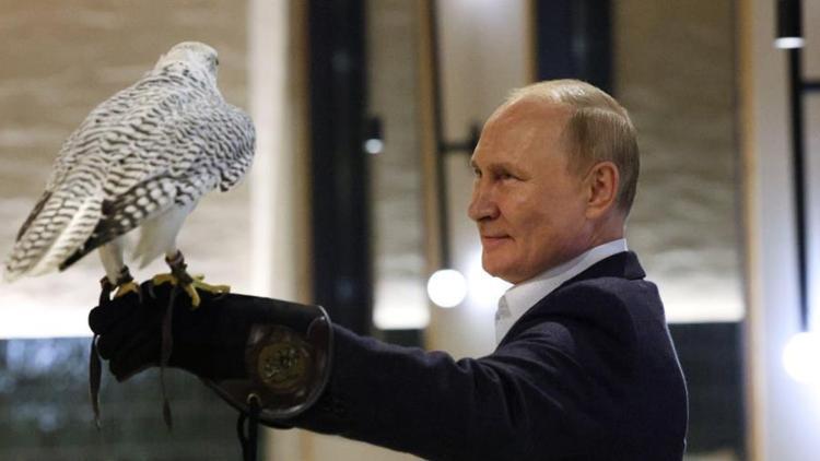 Putin, türü kaybolma tehlikesiyle karşı karşıya olan bir şahini besledi