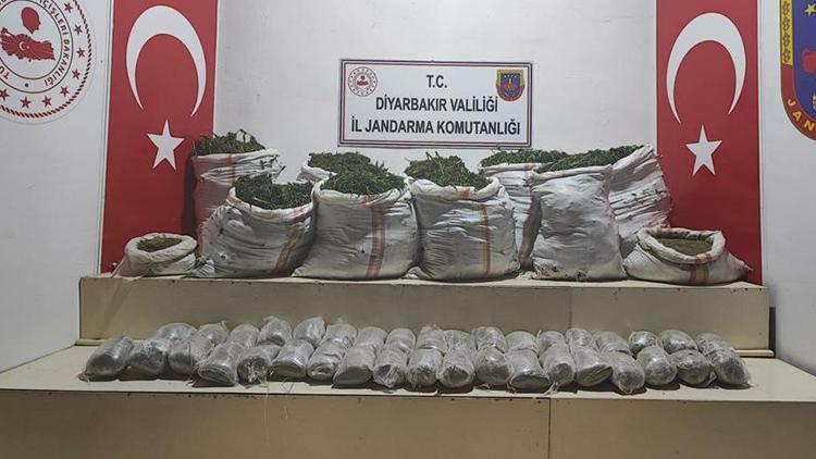 İçişleri Bakanlığı duyurdu 1 milyon 493 bin kök kenevir  ele geçirildi