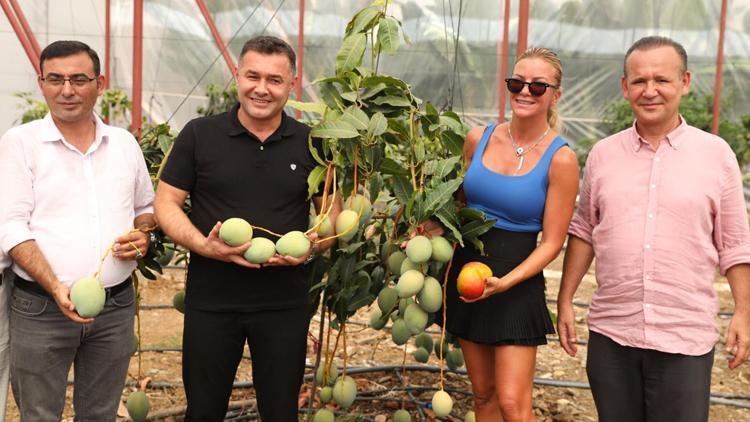 Ivana Sert mango topladı