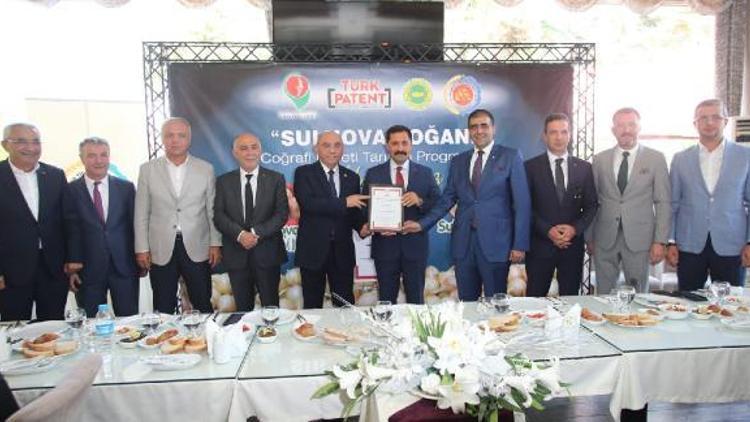 Suluova Soğanı coğrafi işaretle tescillendi