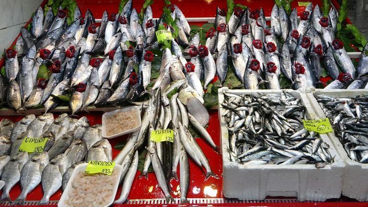 Av sezonu açıldı: Bu yıl hangi balığın yılı olacak Beklenen fiyatlar ne