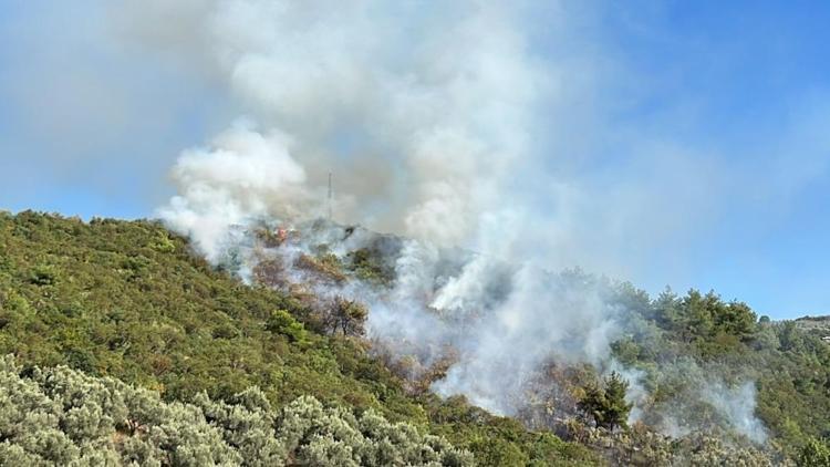 Bursanın İznik ilçesindeki orman yangını kontrol altına alındı