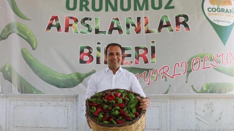 Arslanlar biberimiz, Urfa isot biberine meydan okuyor’