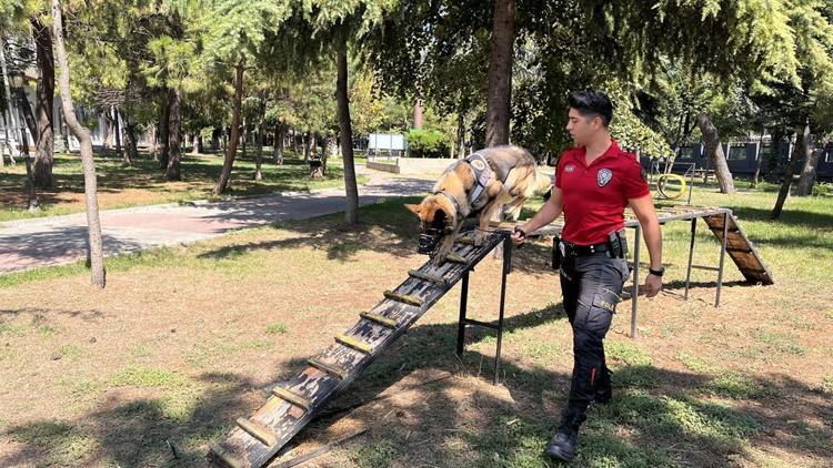 Dünya Kupası için ilk eğitim başkentte