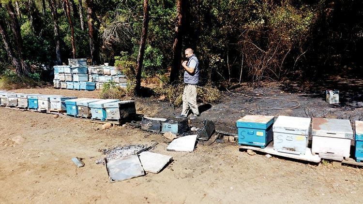 İlk ateş burada başladı... Marmaris yangını 19 saatte kontrol altına alındı