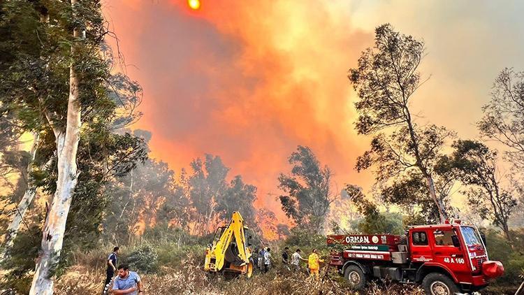 İşte Antalyadaki orman yangınının bilançosu