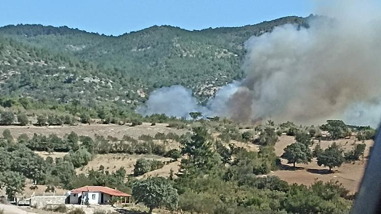 İzmir’de orman yangını: Havadan ve karadan müdahale