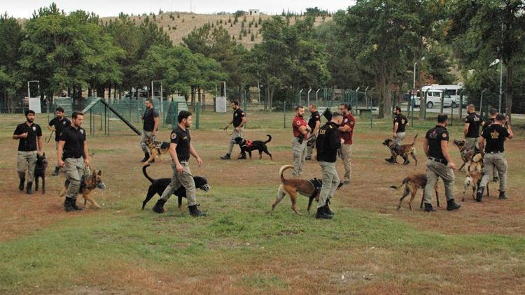 ‘Hassas burun’lu gizli kahramanlar