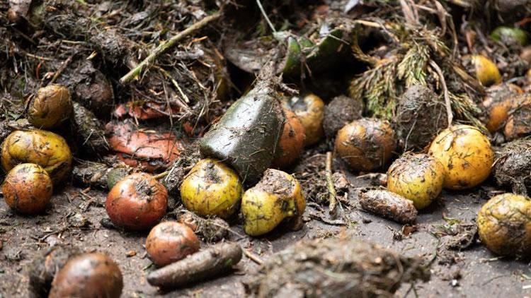 Her bir AB vatandaşı başına yılda 173 kilo gıda israf ediliyor