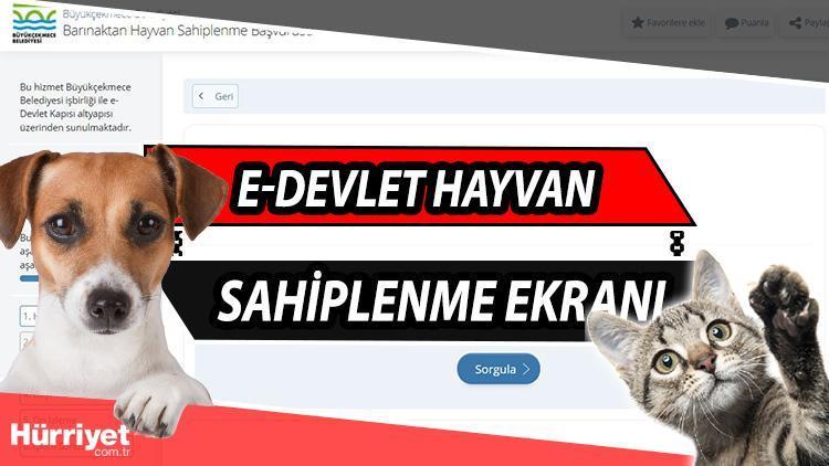 E-Devlet hayvan sahiplendirme ekranı Barınaklardan hayvan sahiplenmek için online başvuru dönemi