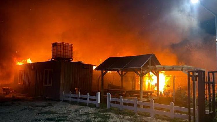 Tekirdağda çiftlikte yangın: 10 küçükbaş öldü, 10 ton buğday yandı
