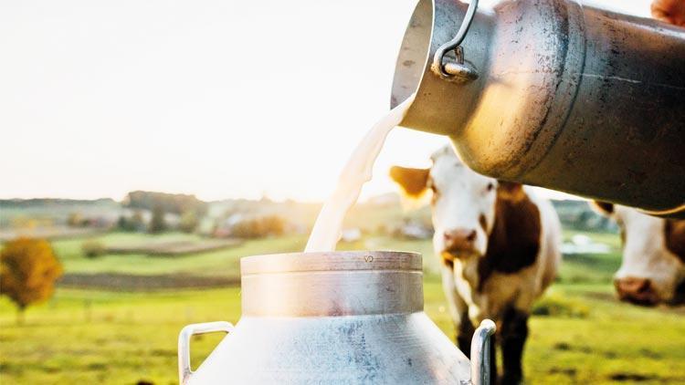 Süt üreticilerinden fiyat artış mesajı: 9 liranın altı kurtarmaz