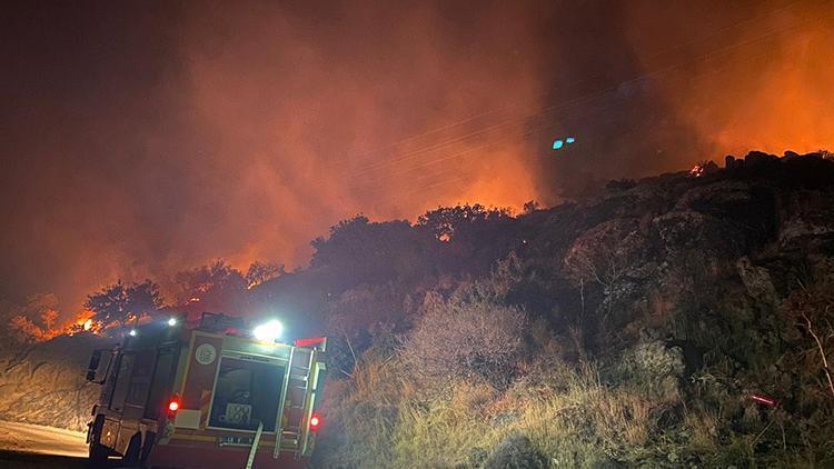 Bodrumda makilik yangınında 5 dönüm zarar gördü