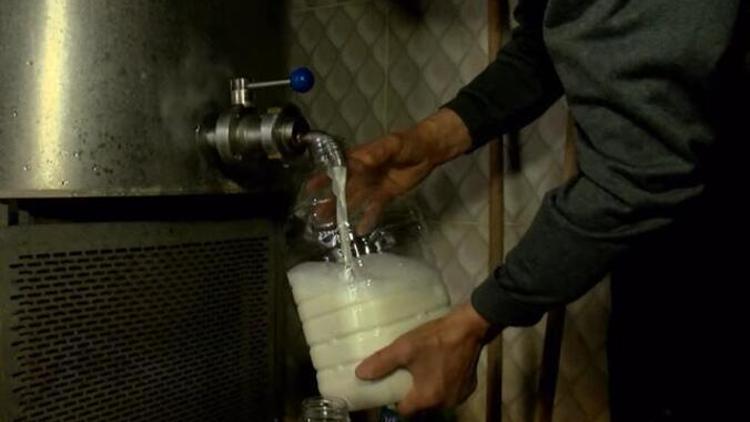 Bakan Kirişciden çiğ süt desteği açıklaması Çiğ Süt Destek Primi ne kadar oldu