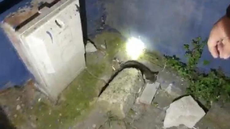 Duvar ile doğalgaz kutusu arasında sıkışan yavru kedi kurtarıldı