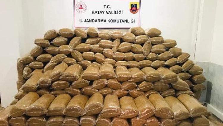 Hassada 1,5 ton kaçak tütün ele geçirildi