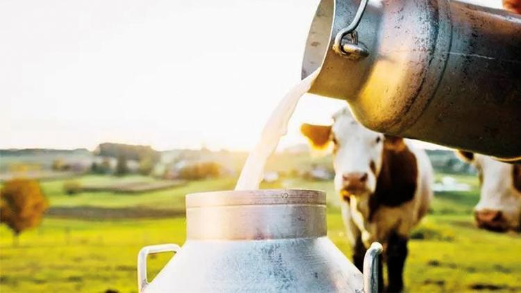Ağustosta süt üretimi azaldı