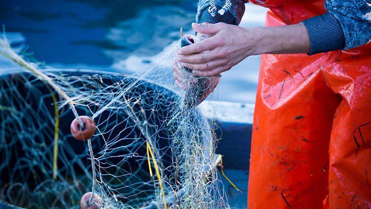 Bakan Nebati açıkladı: Küçük ölçekli balıkçılara destek