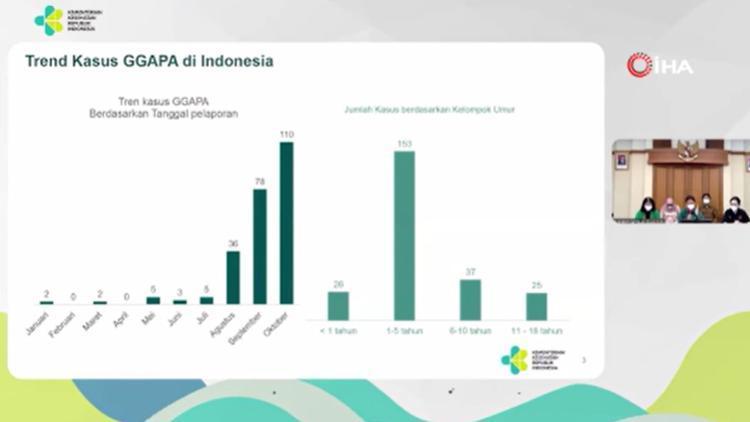 Endonezyada akut böbrek yetmezliğinden kaynaklanan çocuk ölümleri artıyor