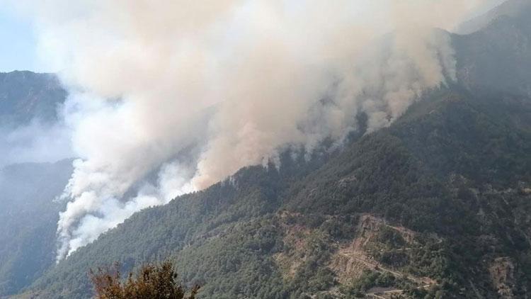 Son dakika... Osmaniyedeki orman yangını 3. gününde Büyüyerek devam ediyor