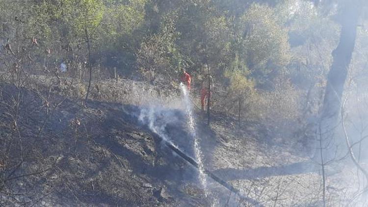 Osmaniyede orman yangını: 50 dekar alan zarar gördü