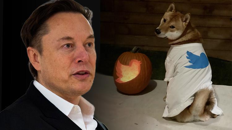 Elon Musktan Dogecoin paylaşımı Yükseliş başladı