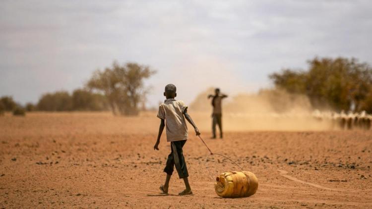 Doğu Afrika’da kuraklık 36,1 milyon kişiyi etkiledi
