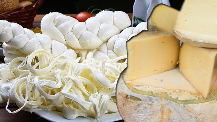 Peynir diyarı Türkiye listeye giremedi Neden peynirlerimizi ön plana çıkaramıyoruz