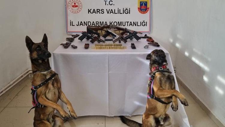 Operasyonda silahları eğitimli köpekler Çapkın ve Taş buldu