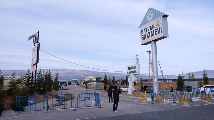 Konyadaki barınaktaki görüntüler infial yaratmıştı Hayvan bakımevinde sahiplendirmeler yeniden başladı