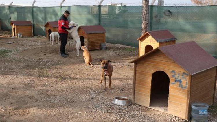 Barınaktaki görüntüler olay olmuştu: İnceleme başlatıldı