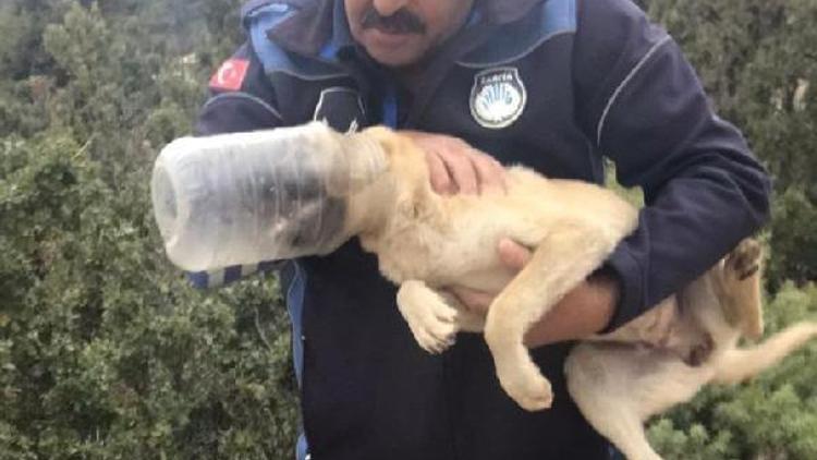 Başı bidona sıkışan köpek kurtarıldı