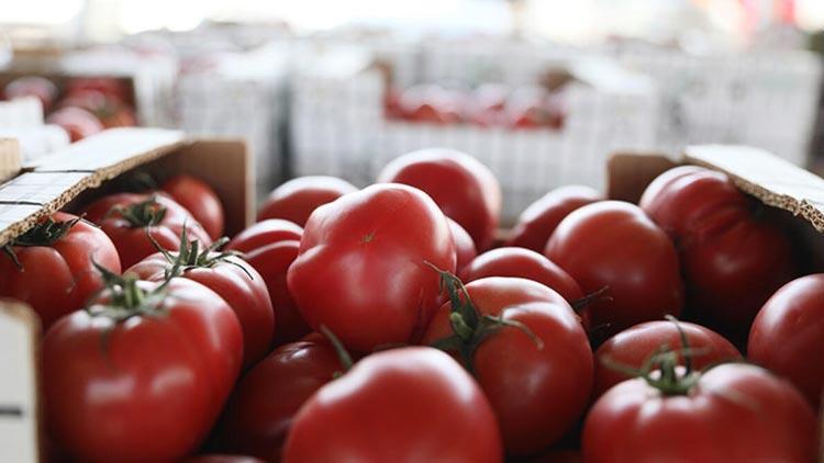 ‘Sıfır lira domates, yolda 7.5 TL oluyor’