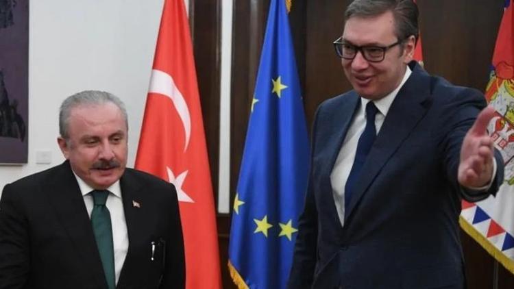 Sırbistan Cumhurbaşkanı Vucic: Türkiye önemli bir partner