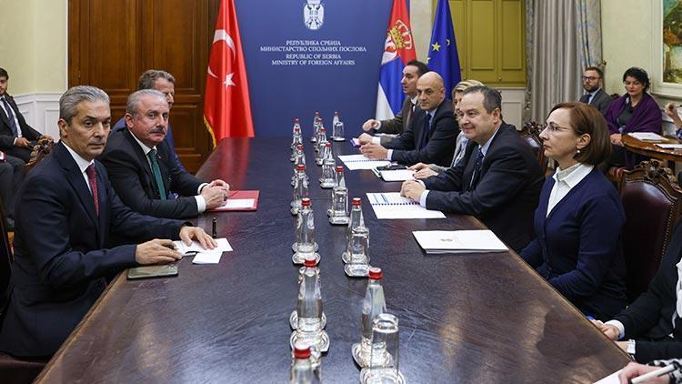 Şentop, Sırbistan Dışişleri Bakanı Dacic ile görüştü