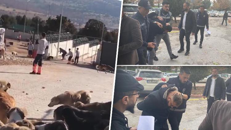 Konyadaki barınakta köpek kürekle öldürülmüştü: İstenen cezalar belli oldu