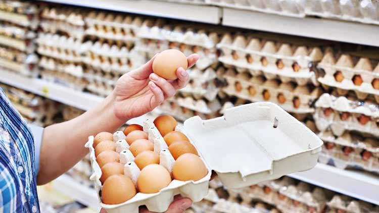 Bozuk yumurta satan markete hapis cezası