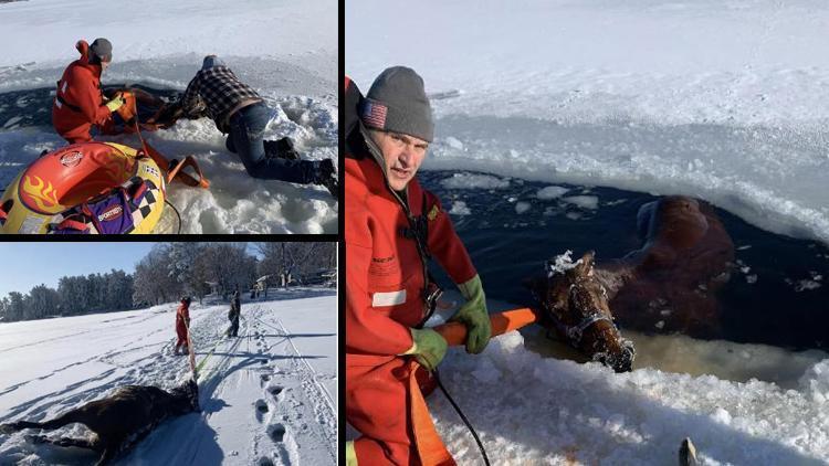 Buzun kırılmasıyla donmuş göle düşen at böyle kurtarıldı