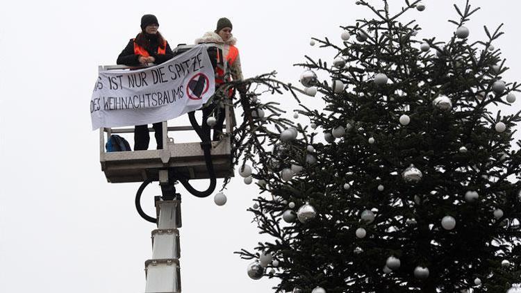 Şimdi de Noel ağacını kestiler