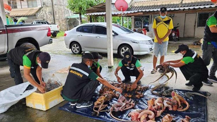 Otomobilinden onlarca vahşi hayvan cesedi çıktı