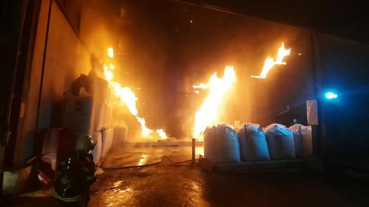 Milasta balık yemi fabrikasında yangın çıktı