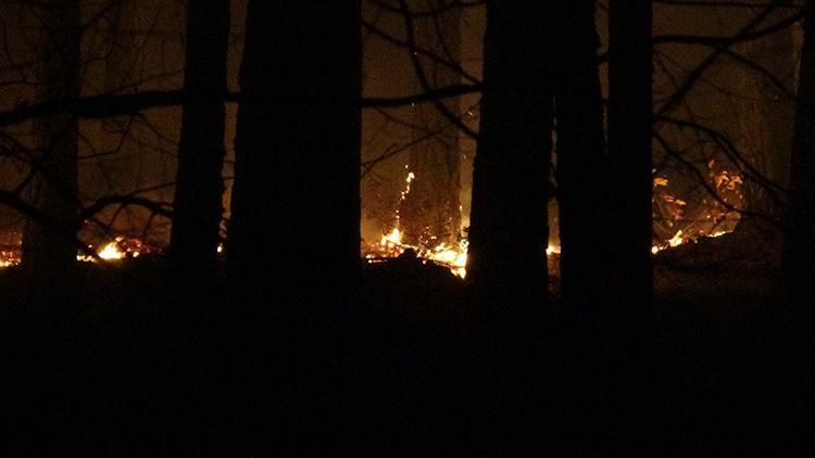 Son dakika: Kaz Dağları’nda ormanlık alanda örtü yangını... Çok sayıda ekip sevk edildi