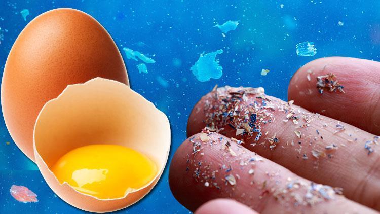 Yumurta akı filtresi mikroplastik sorununa çözüm olabilir mi ‘Fakülte toplantısında oturmuş sandviçime bakarken aklıma geldi’