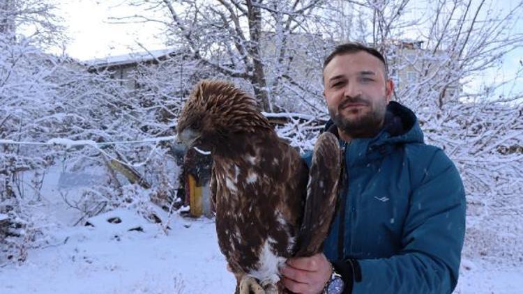 Uçamayan kartalı Doğa Koruma ve Milli Parklar Müdürlüğüne teslim etti