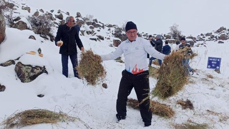 Yaban hayvanları için Süphan Dağı eteklerine yem bırakıldı