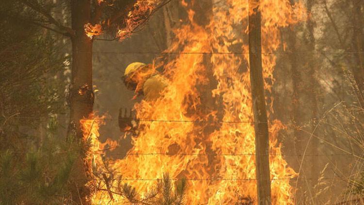 Şili’de orman yangını: 23 ölü, 979 yaralı