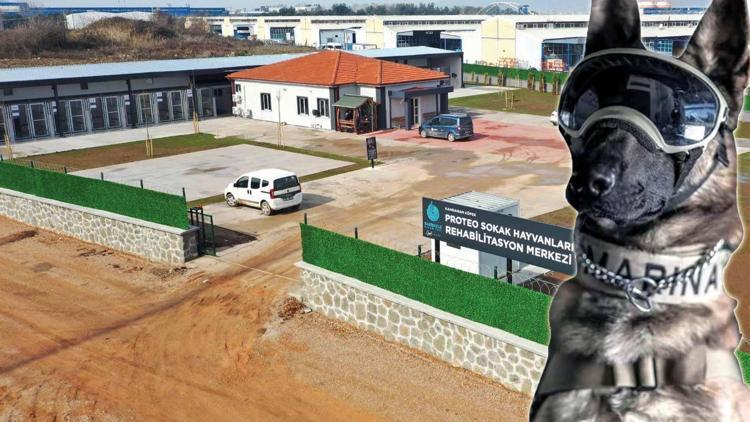 Kahraman Proteo’nun adı Kocaeli’de yaşatılacak