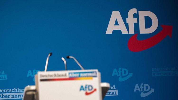 AfD’ye kısmen şans