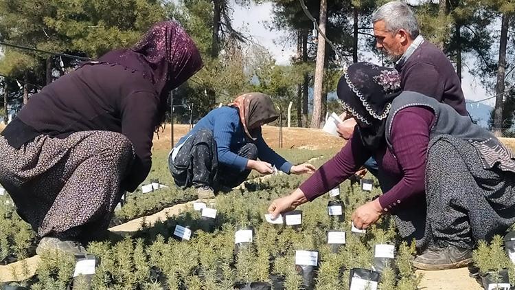 Depremde hayatını kaybedenlerin isimleri fidanlarda